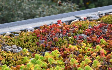 the cost of Farlesthorpe green roof installation
